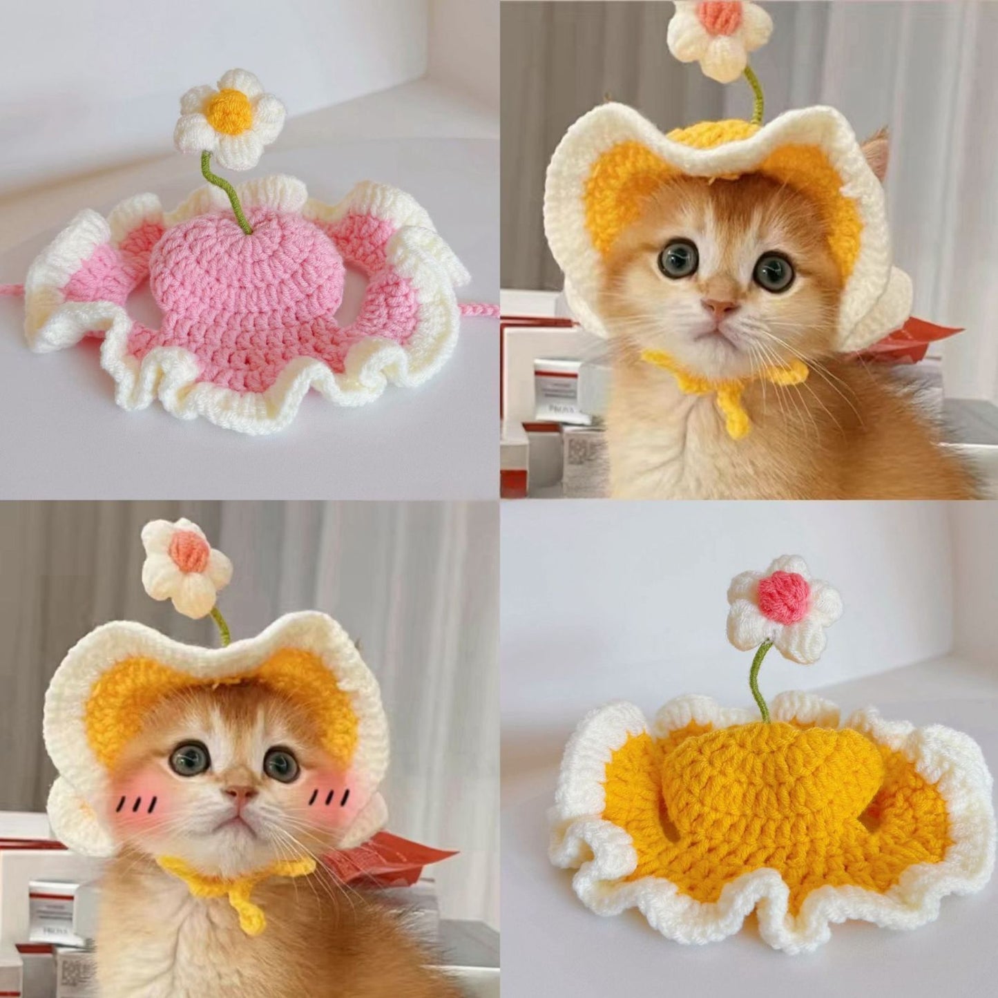 pet hat