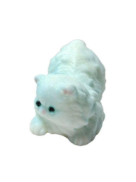 cute cat