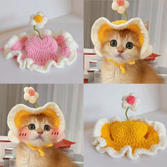 pet hat