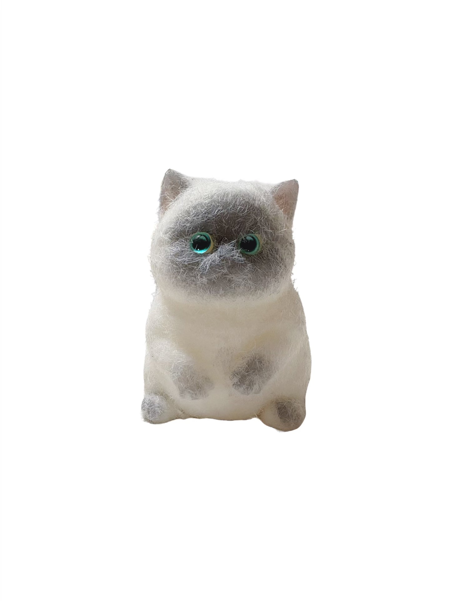 Fat Cat Pinch Music