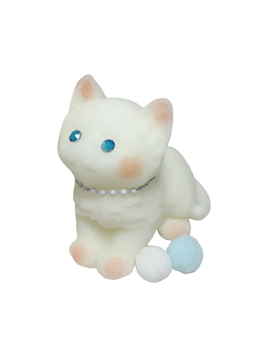 cute cat